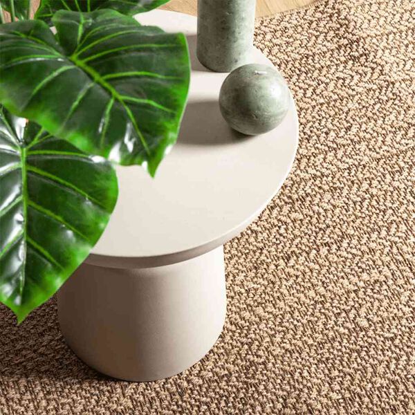 vidaXL Rug Beige Polypropylene 39.4 x 78.7 in Durable Rug