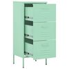 vidaXL Storage Cabinet Mint Steel Medium Storage Cabinet Rectangular