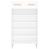 vidaXL Shoe Cabinet White Engineered wood and iron Medium Shoe Cabinet