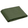 vidaXL Tarpaulin 0.6 oz/ft&sup2; 26.2'x26.2' Green HDPE