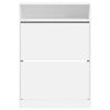 vidaXL Shoe Cabinet White Engineered wood Tall Shoe Cabinet