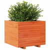 vidaXL Garden Planter Wax Brown Solid Pine Wood 24 in Wooden Planter