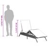 vidaXL Sun Lounger Light grey Poly Rattan 78.7 x 23.2 x 33.5 in