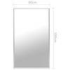 vidaXL Mirror Silver Glass, PVC 39.4x23.6 in Mirror Mirror
