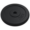 vidaXL Weight Plate 88.2 lb Cast Iron