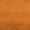 vidaXL Doormat Other Orange and Black 47.2" x 118.1" Polyamide and PVC
