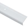 vidaXL Stair Nosings 10 pcs Silver 67 x 3.5 x 3 cm Aluminium