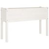 vidaXL Planter White Solid pinewood Large Durable Planter