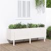 vidaXL Garden Raised Bed White Solid Pine Wood Large Planters