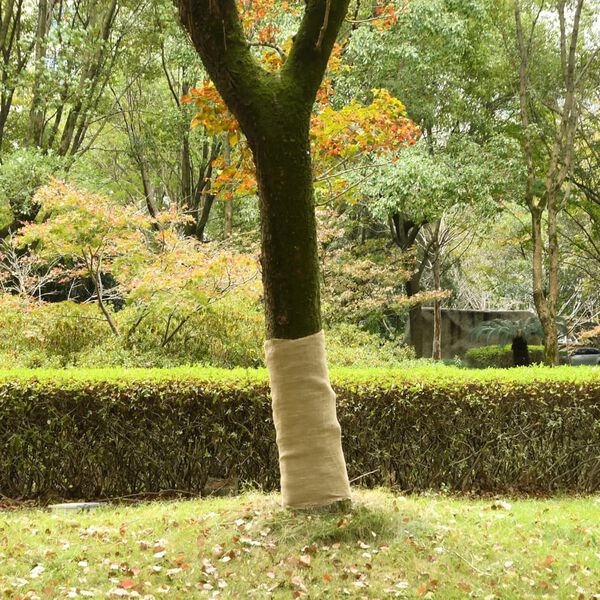 vidaXL Jute Roll Natural 100% Natural Jute 1 x 32.8 ft Simple