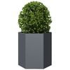 vidaXL Garden Planter Set of 2 Anthracite Steel Large Garden Planter