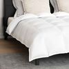 vidaXL Duvet Set with Pillow 3 pcs White Down Feather