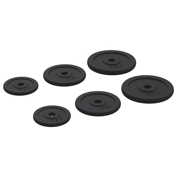 vidaXL Weight Plates 6 pcs 66.1 lb Cast Iron