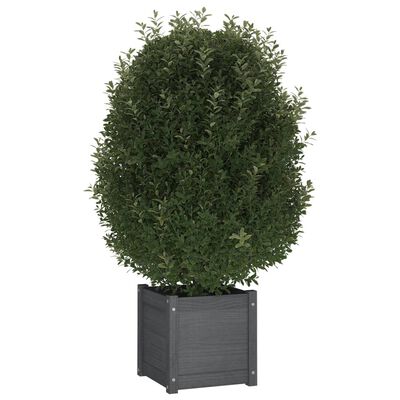 vidaXL Garden Planter Gray 15.7"x15.7"x15.7" Solid Wood Pine