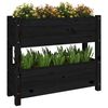 vidaXL Planter Black Solid pine wood Medium Planters Planter