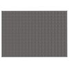 vidaXL Grey Weighted Blanket 100% Brushed Polyester Microfiber Twin