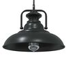 vidaXL Pendant Lamp Black Iron Medium Industrial Pendant Lamp Round