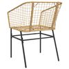 vidaXL Garden Chair Brown PE rattan, powder-coated steel Standard