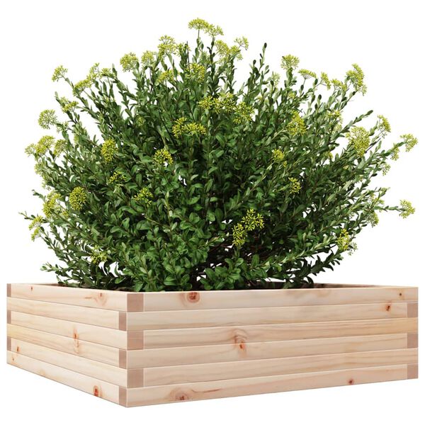 vidaXL Garden Planter Natural Wood Solid Pine Wood 31.5 x 31.5 x 9.1 in