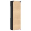 vidaXL Storage Cabinet Black Engineered Wood Large Storage Cabinet