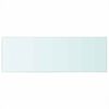 vidaXL Glass Panel Set of 2 Clear Toughened glass 27.6 x 9.8 in