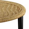 vidaXL Coffee Table Set of 2 Natural Beige Steel, Jute One Size