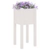 vidaXL Planter Set of 2 White Solid Pinewood 12.2 x 12.2 x 27.6 in