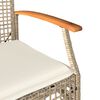 vidaXL Garden Chair Set of 2 Beige and Brown PE rattan Medium