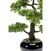 Emerald Artificial Ficus Mini Bonsai Green Polyethylene Small