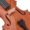 vidaXL Violin Full Set with Bow and Chin Rest Dark Wood 4/4