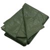 vidaXL Tarpaulin 0.6 oz/ft&sup2; 13.1'x13.1' Green HDPE