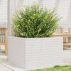 vidaXL Garden Planter White Solid Pinewood Medium Durable
