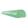 vidaXL Greenhouse Green Polyethylene (PE) Large Expandable Greenhouse