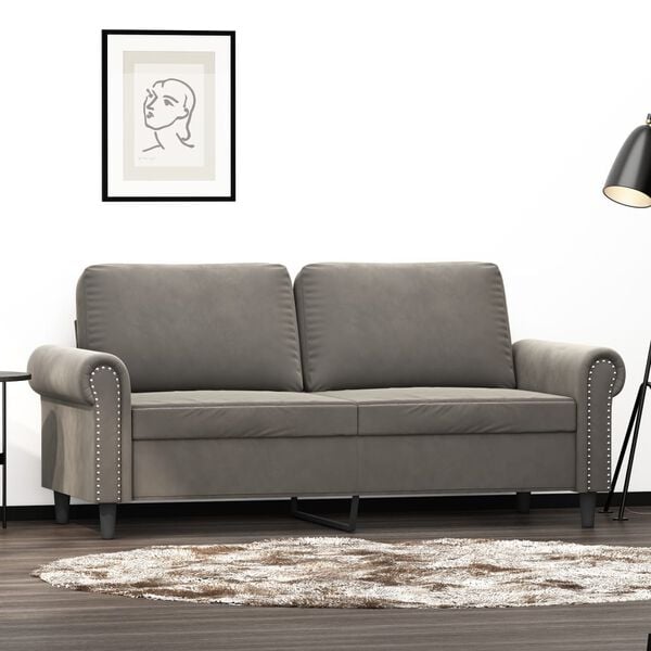 vidaXL 2-seater Sofa Light grey Velvet (100% polyester), metal, plywood