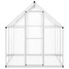 vidaXL Greenhouse Silver and clear Aluminum, Polycarbonate Medium