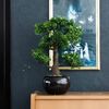 Emerald Artificial Ficus Mini Bonsai Green Polyethylene Small