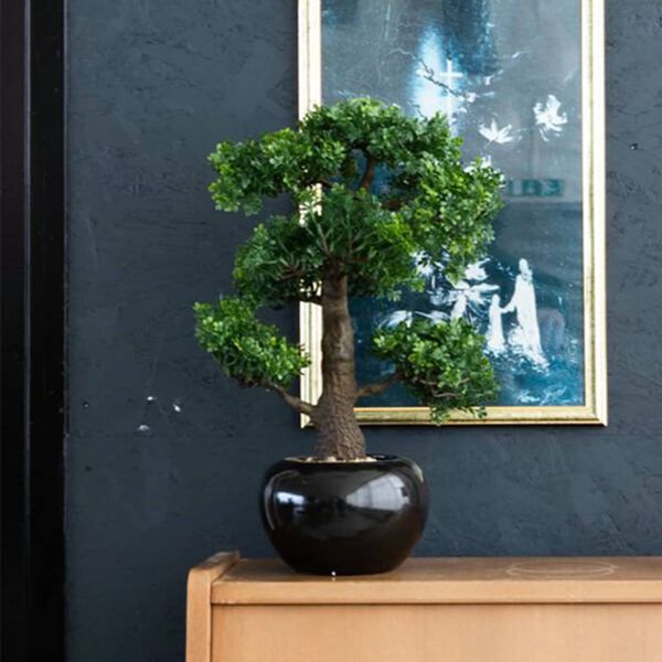 Emerald Artificial Ficus Mini Bonsai Green Polyethylene Small