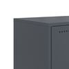 vidaXL TV Cabinet Anthracite Cold-rolled steel Medium TV Cabinet