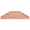 vidaXL Planter Natural Wood Solid Douglas Wood Large Durable Planter