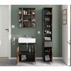 FMD Mirrored Bathroom Cabinet Matera, old style dark