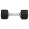 vidaXL Dumbbells 2 pcs 26.5 lb Total Cast Iron