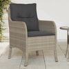 vidaXL Garden Chair Set of 2 Light Grey PE rattan, powder-coated steel