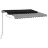 vidaXL Manual Retractable Awning with Posts 9.8'x8.2' Anthracite