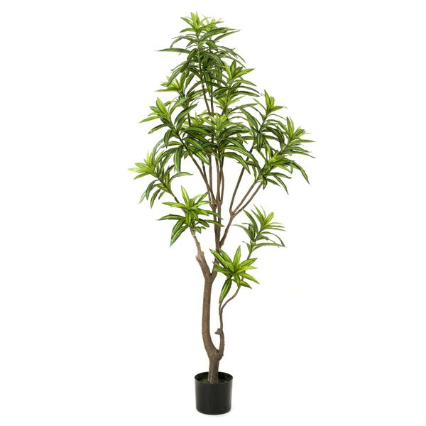 Emerald Artificial Plant Green Polyethylene Extra Tall Decorative Inlays