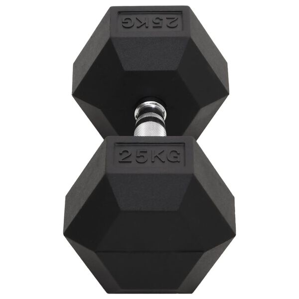 vidaXL Dumbbell 55.1 lb Cast Iron