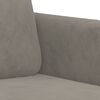 vidaXL Sofa Chair Light gray Velvet (100% polyester), metal, plywood, foam