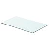 vidaXL Glass Panel Clear Tempered Glass 23.6 x 11.8 in Glass surface
