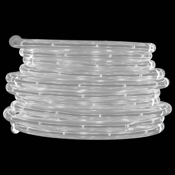 vidaXL Rope Light Cold White Polyvinylchloride 32.8 feet long