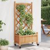 vidaXL Planter Brown Solid Fir Wood, Iron Planters Planter Rectangular