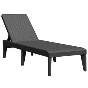 vidaXL Sun Lounger Anthracite 100% Polypropylene Standard